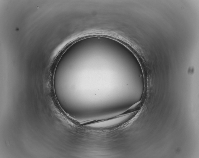 X0000090781502200707201513
