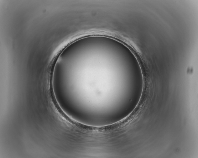 X0000090781504200707201513
