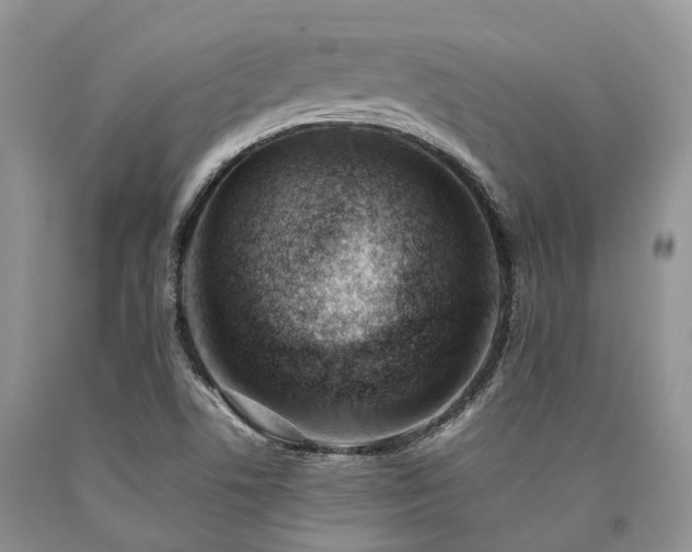 X0000090781506200707201513