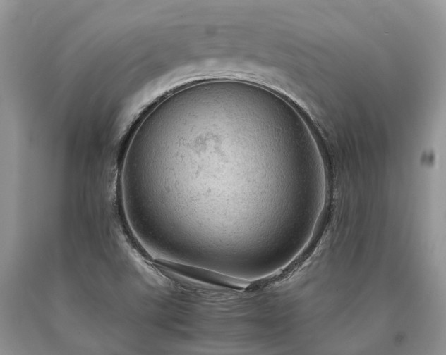 X0000090781507200707201513