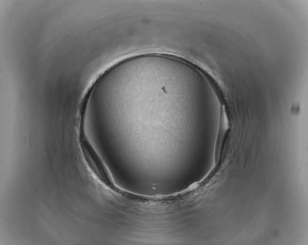 X0000090781508200707201513