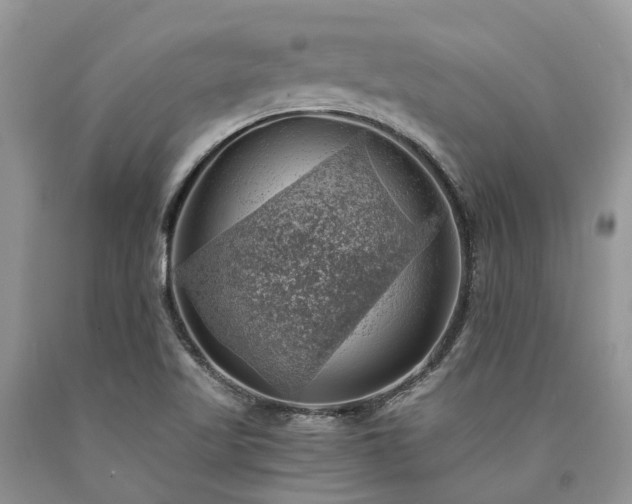 X0000090781509200707201513