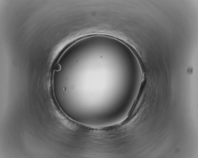 X0000090781511200707201513