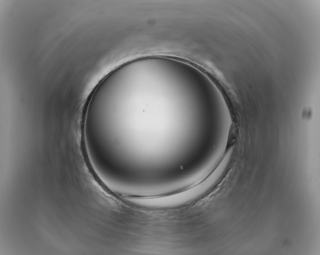X0000090781512200707201513