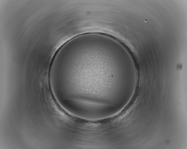 X0000090781513200707201513