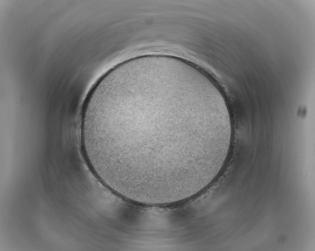 X0000090781514200707201513