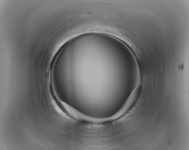 X0000090781515200707201513