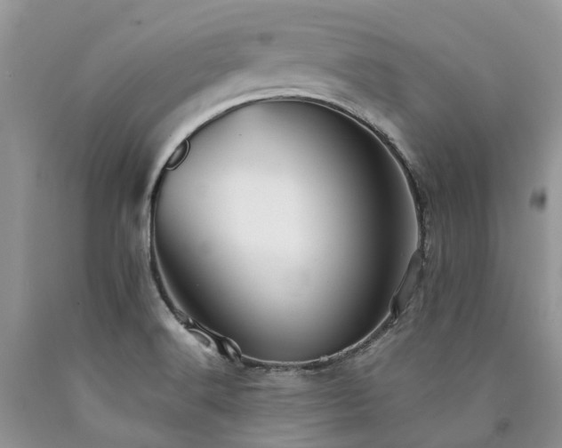 X0000090781516200707201513