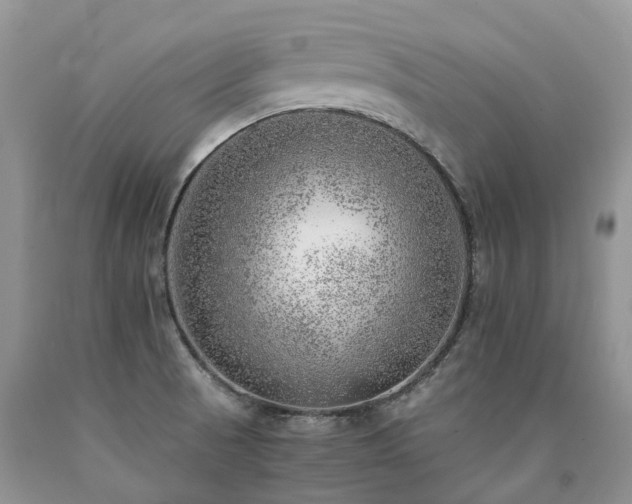X0000090781521200707201513