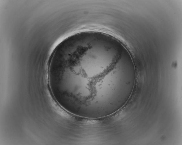 X0000090781522200707201513