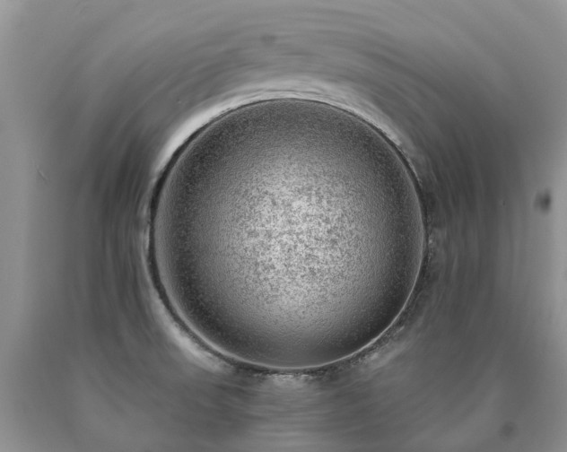 X0000090781523200707201513