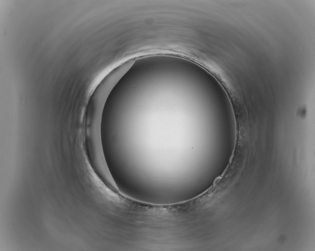 X0000090781524200707201513