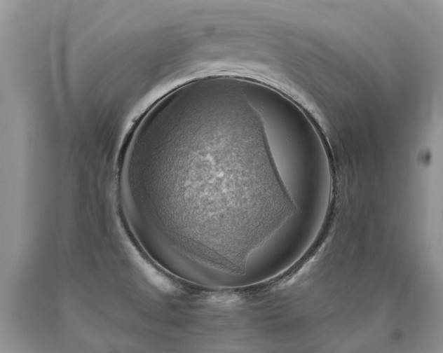 X0000090781525200707201513
