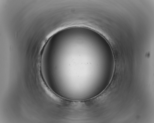 X0000090781526200707201513