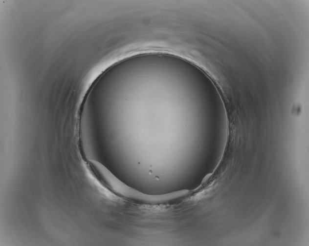 X0000090781527200707201513