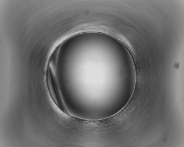 X0000090781528200707201513