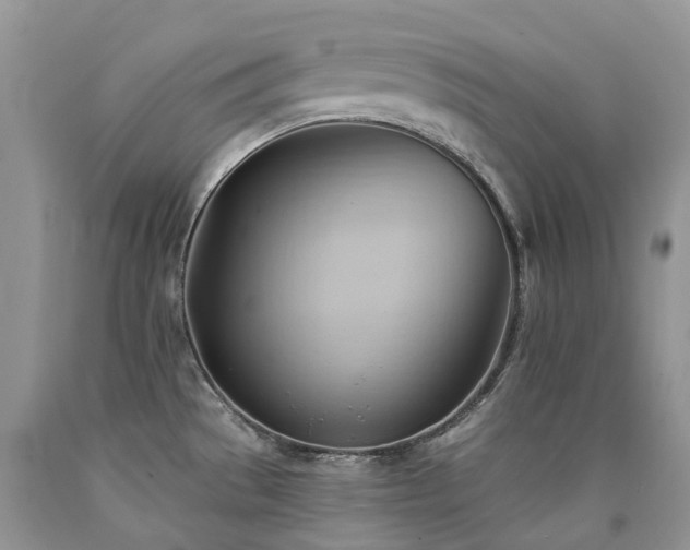 X0000090781529200707201513
