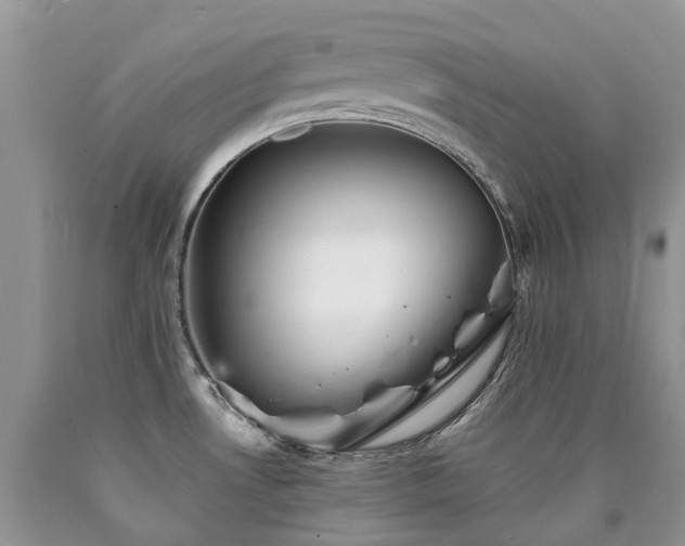 X0000090781530200707201513