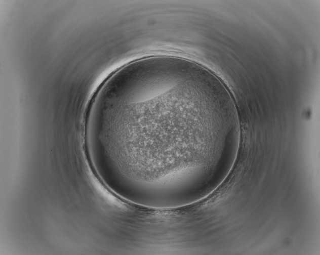 X0000090781531200707201513