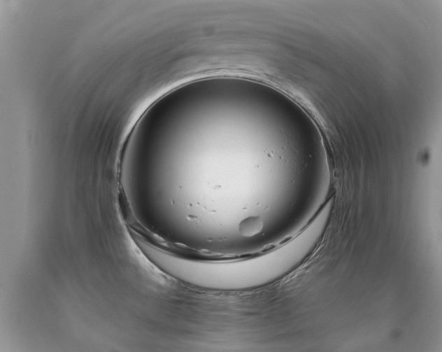 X0000090781532200707201513
