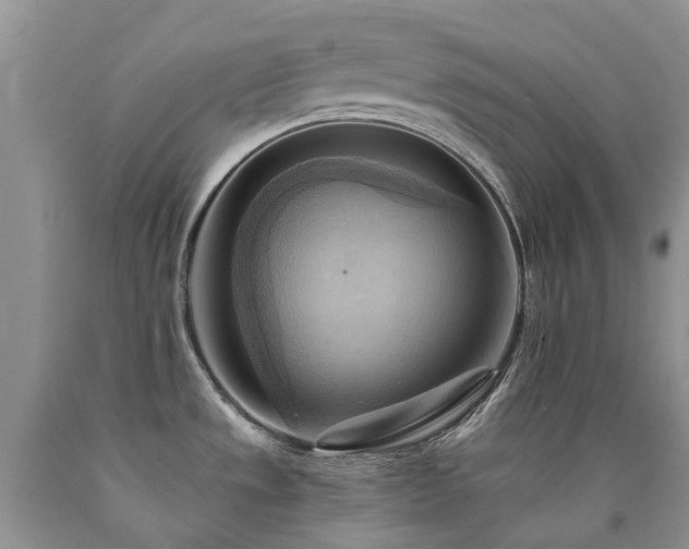 X0000090781533200707201513