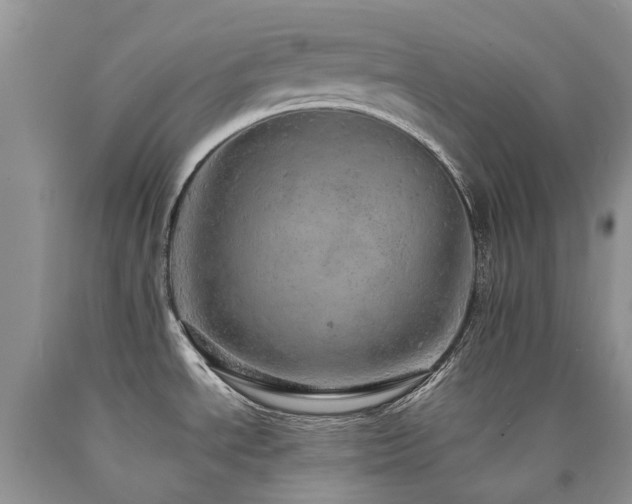 X0000090781534200707201513