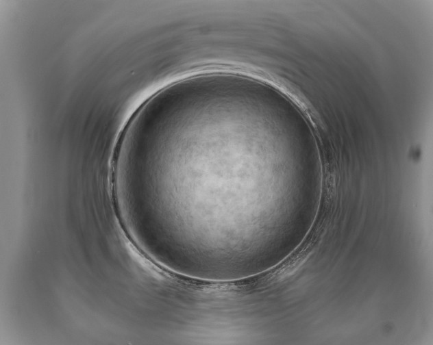 X0000090781535200707201513