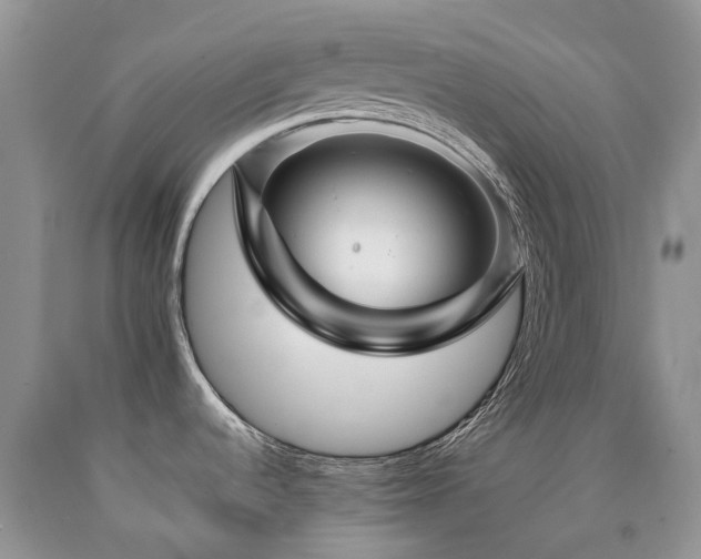 X0000090781536200707201513