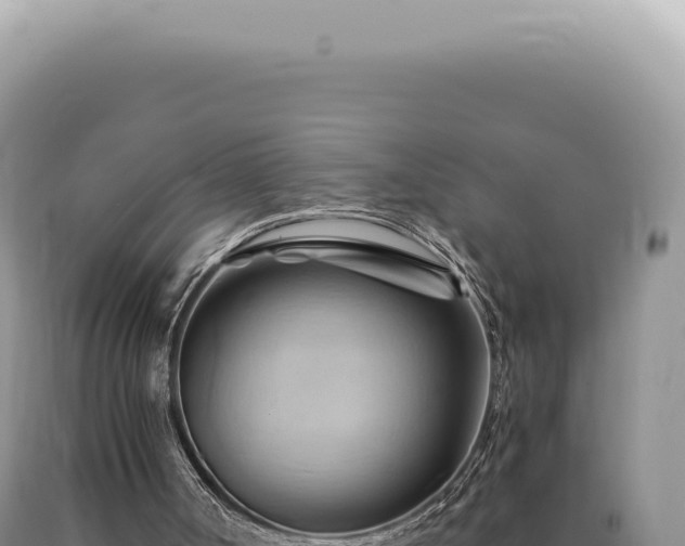 X0000090780002200707271559