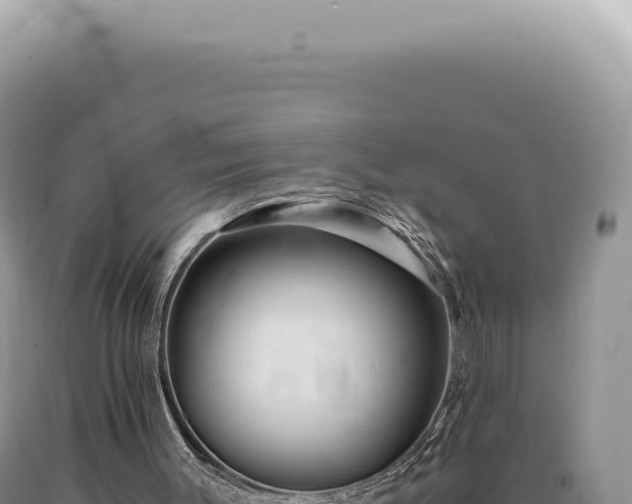 X0000090780003200707271559