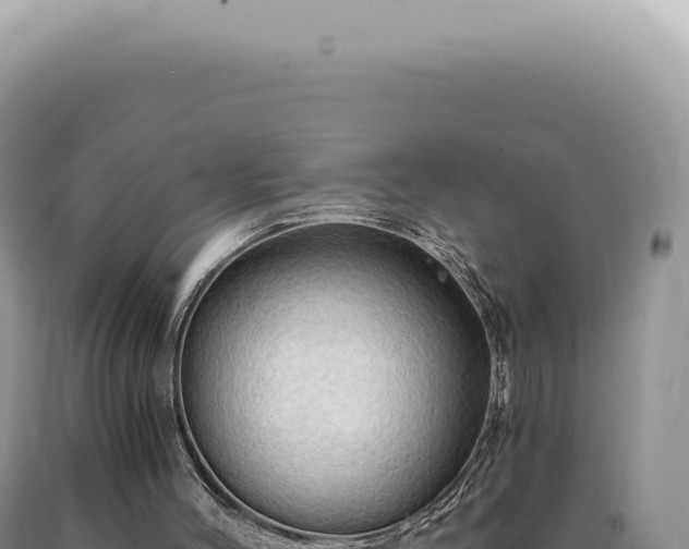 X0000090780004200707271559