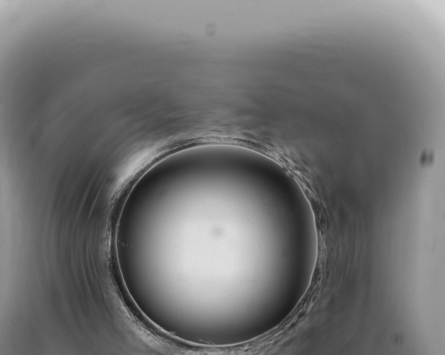 X0000090780005200707271559