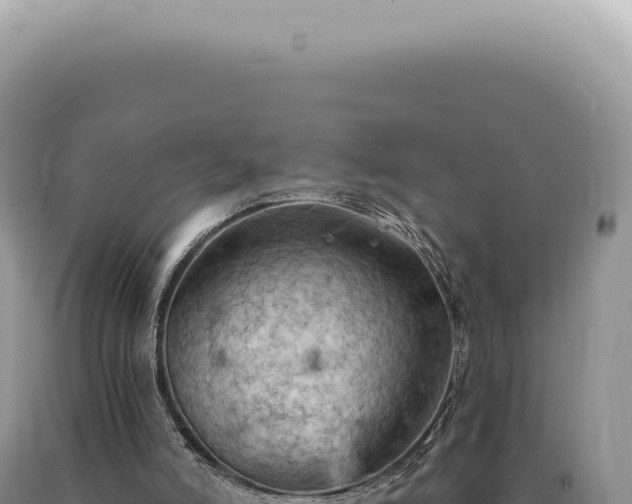 X0000090780006200707271559