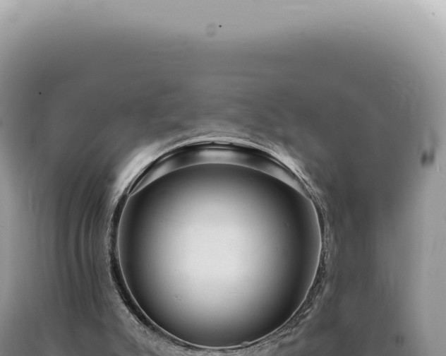 X0000090780007200707271559