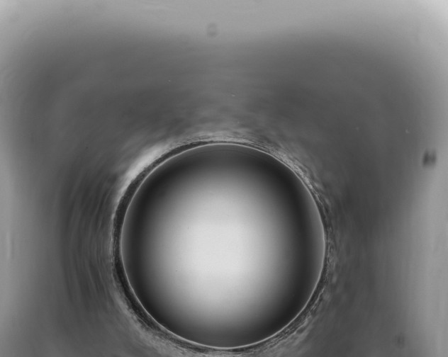 X0000090780008200707271559