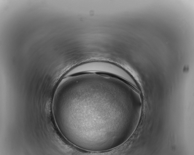 X0000090780009200707271559