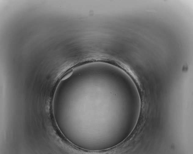 X0000090780010200707271559