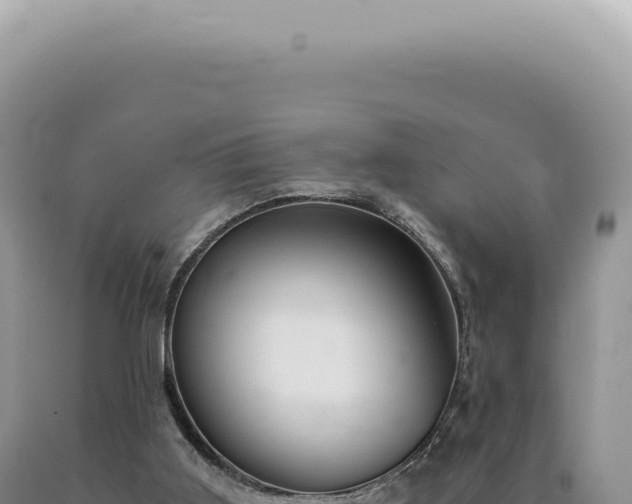 X0000090780011200707271559