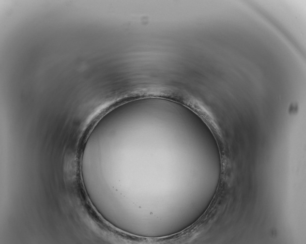 X0000090780012200707271559