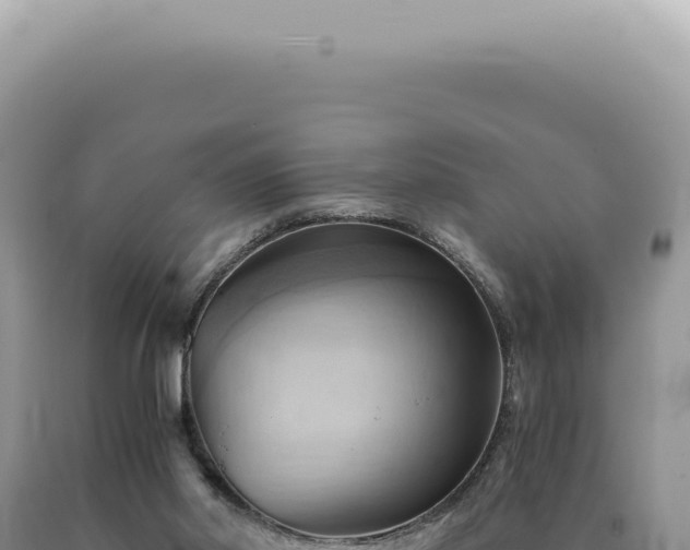 X0000090780014200707271559