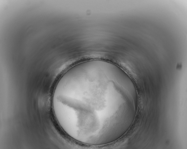 X0000090780016200707271559