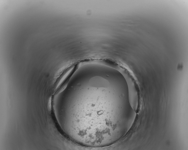 X0000090780019200707271559