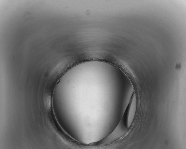 X0000090780021200707271559