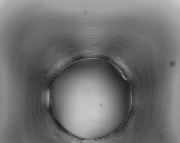 X0000090780022200707271559