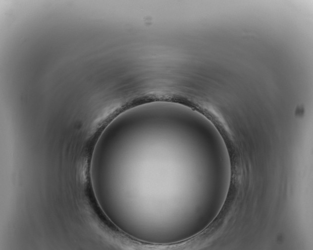 X0000090780023200707271559