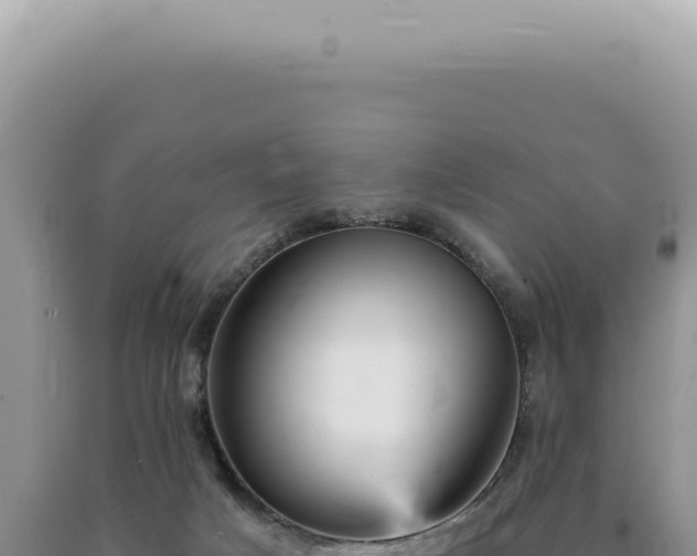 X0000090780025200707271559