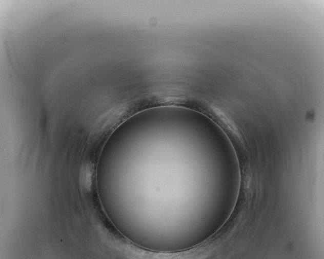 X0000090780026200707271559