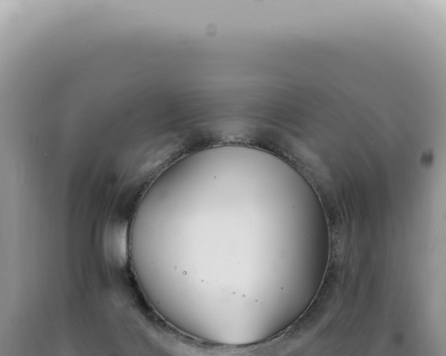 X0000090780028200707271558