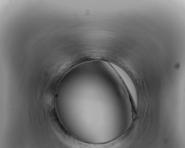 X0000090780031200707271558