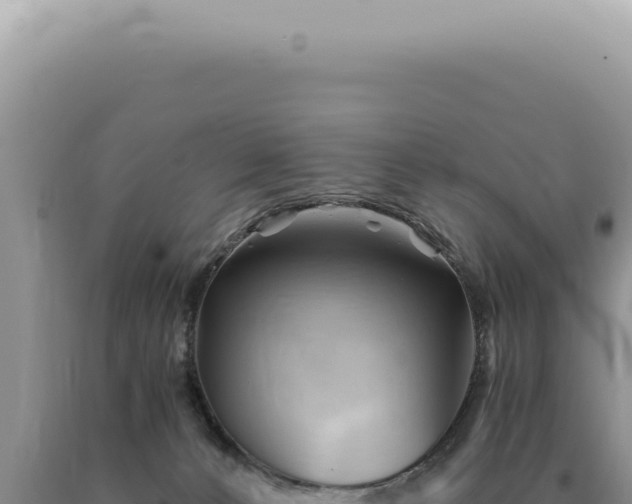 X0000090780032200707271558
